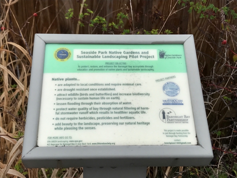 Signs at the park entrance display rules and information for visitors.